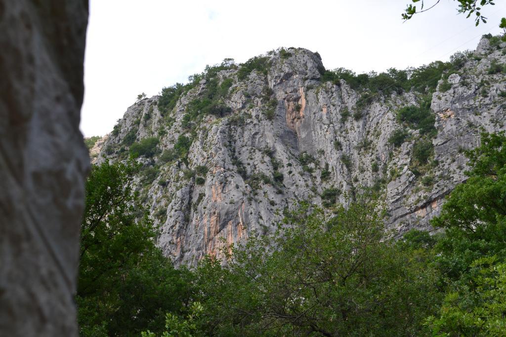Abc Apartments Kotor Luaran gambar